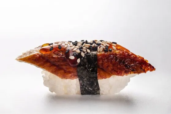 Unagi sushi